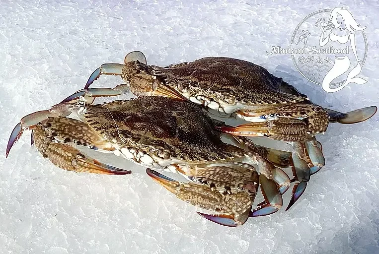 Frozen Local Blue Swimmer Crab (Female)