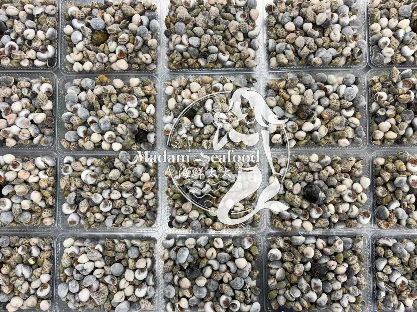 Mixed Sea Snails (Raw)