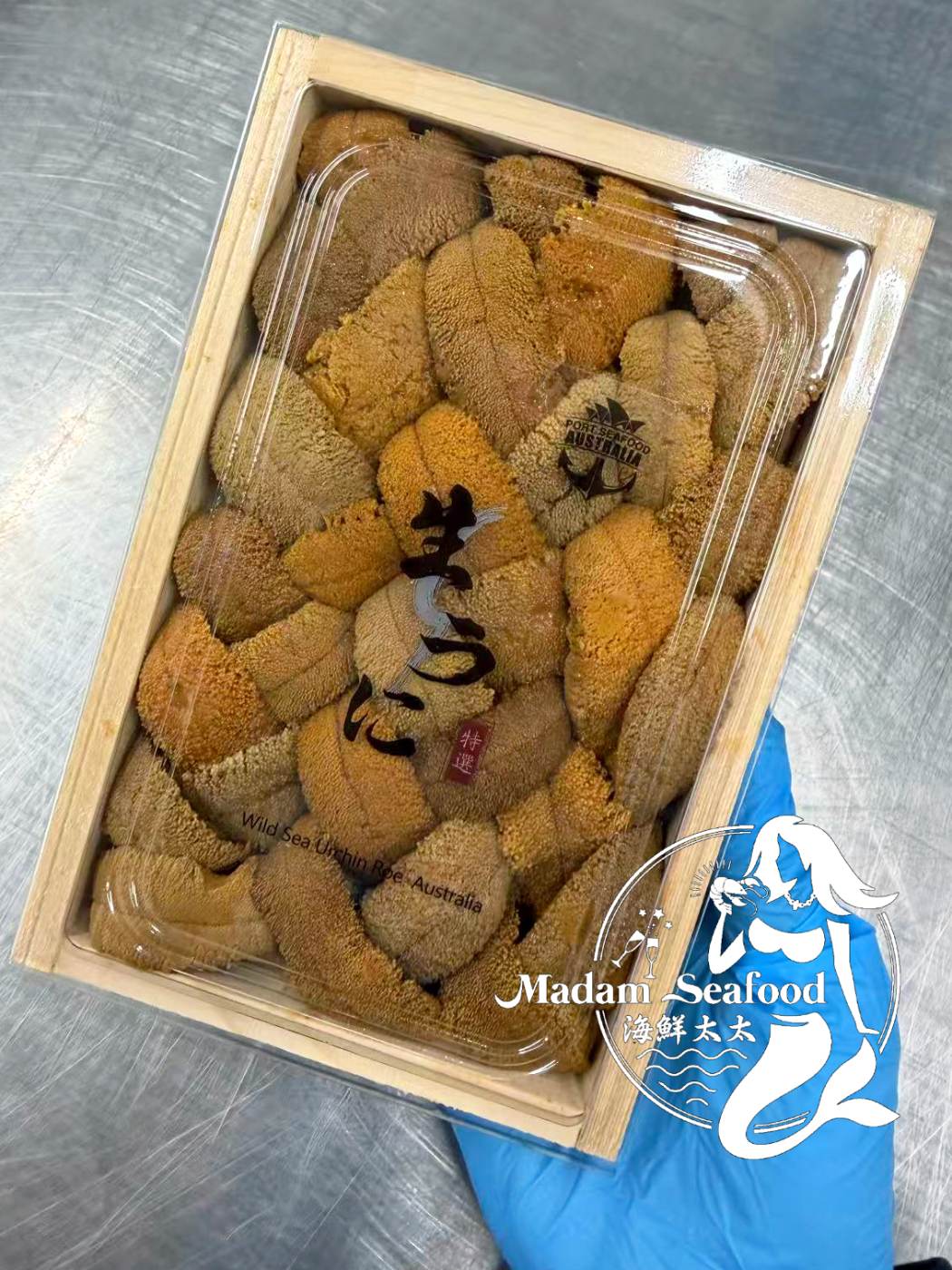[Sashimi Grade] Victorian Giant Sea Urchin (Large Bento Box)