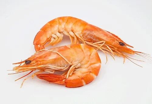 SA King Prawn — Extra Large (Cooked)