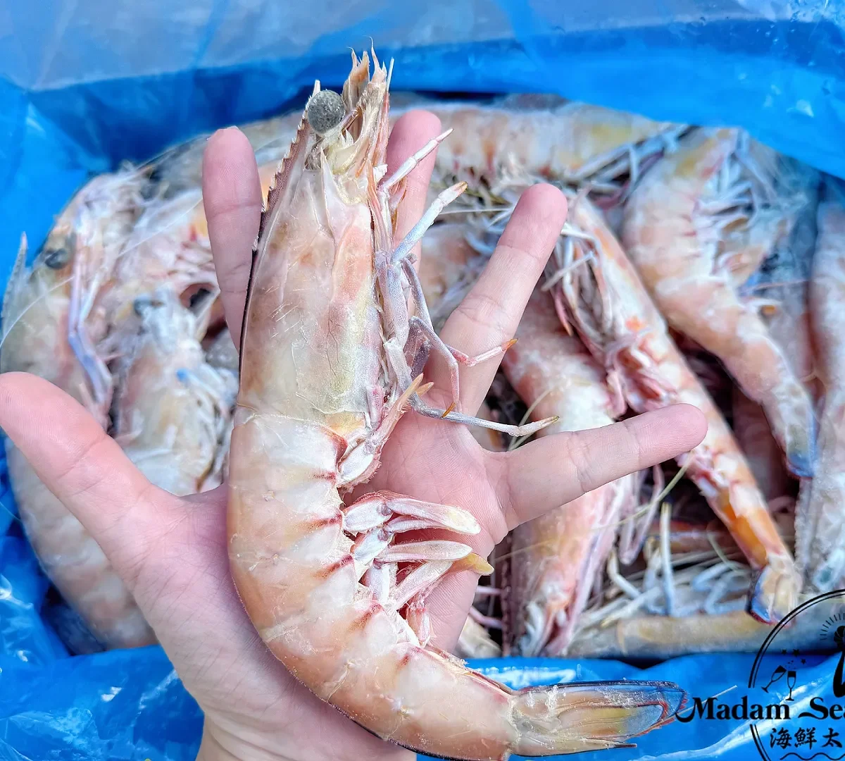 SA King Prawn — Jumbo (Raw)