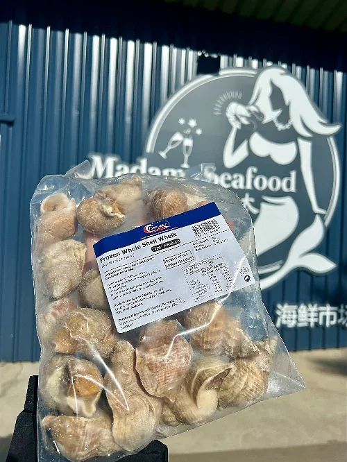 【SALE】Whole Shell Whelk