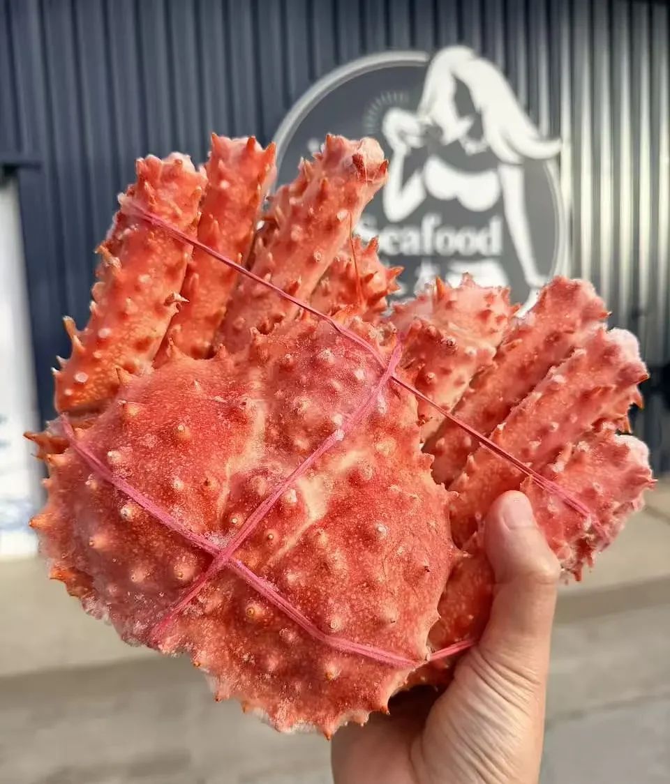Alaskan King Crab whole Cooked