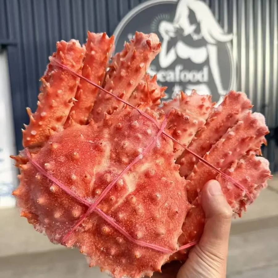 Alaskan King Crab whole Cooked