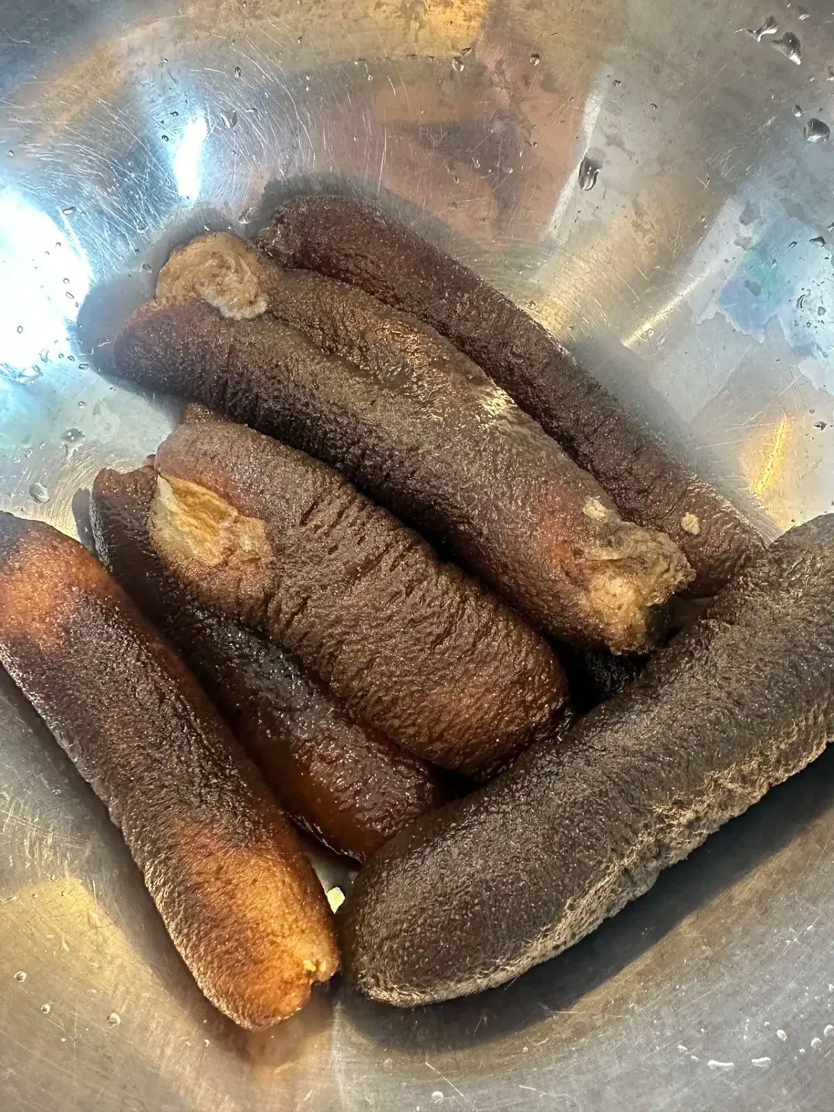AU Sea Cucumber