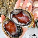 Shellfish