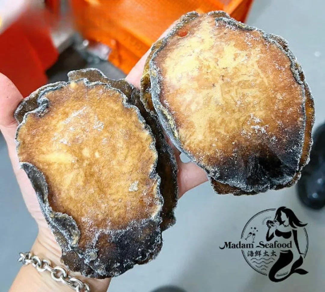 Blacklip Abalone Meat