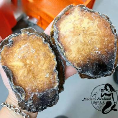Blacklip Abalone Meat