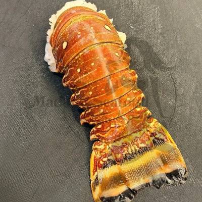 Brazilian Lobster Tail