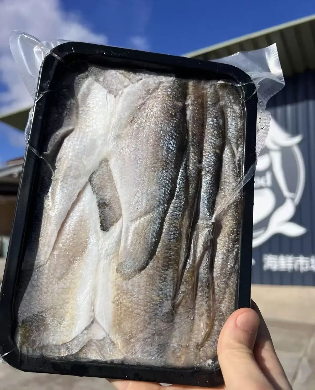 Coorong Mullet Fillets