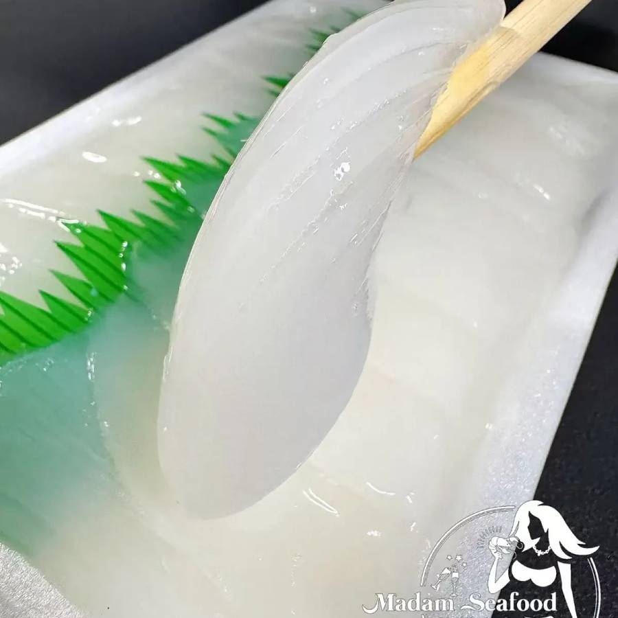 Cuttlefish Slice