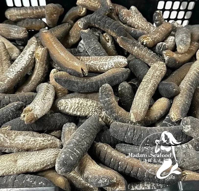 Dry Sand Fish