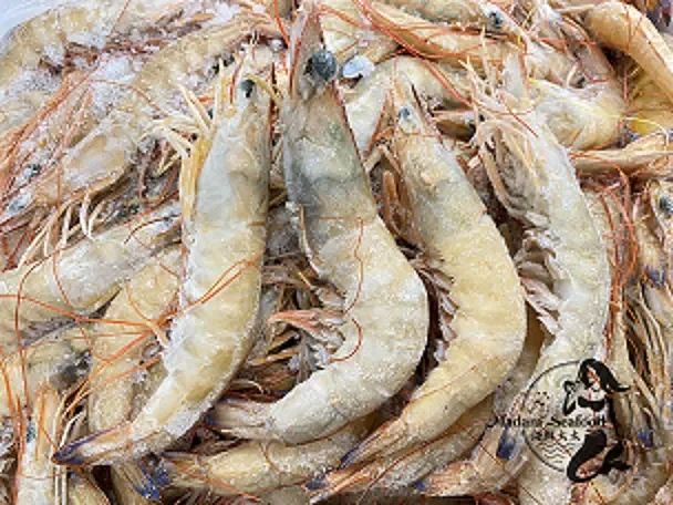 Endeavour Prawn