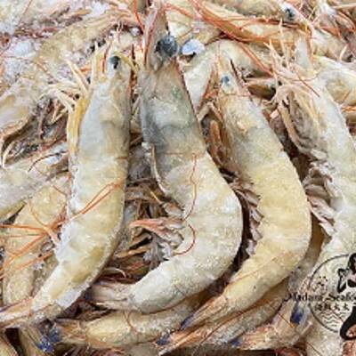 Endeavour Prawn