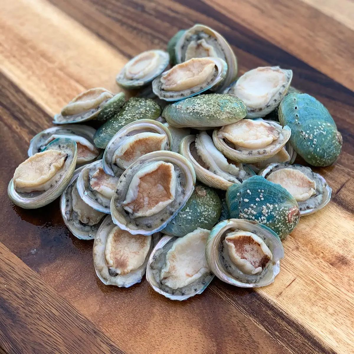Frozen Baby Greenlip Abalone