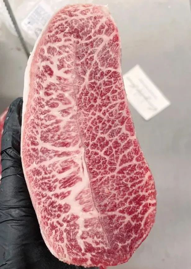 Full Blood Wagyu M9