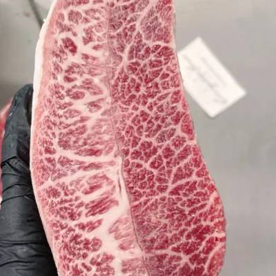 Full Blood Wagyu M9