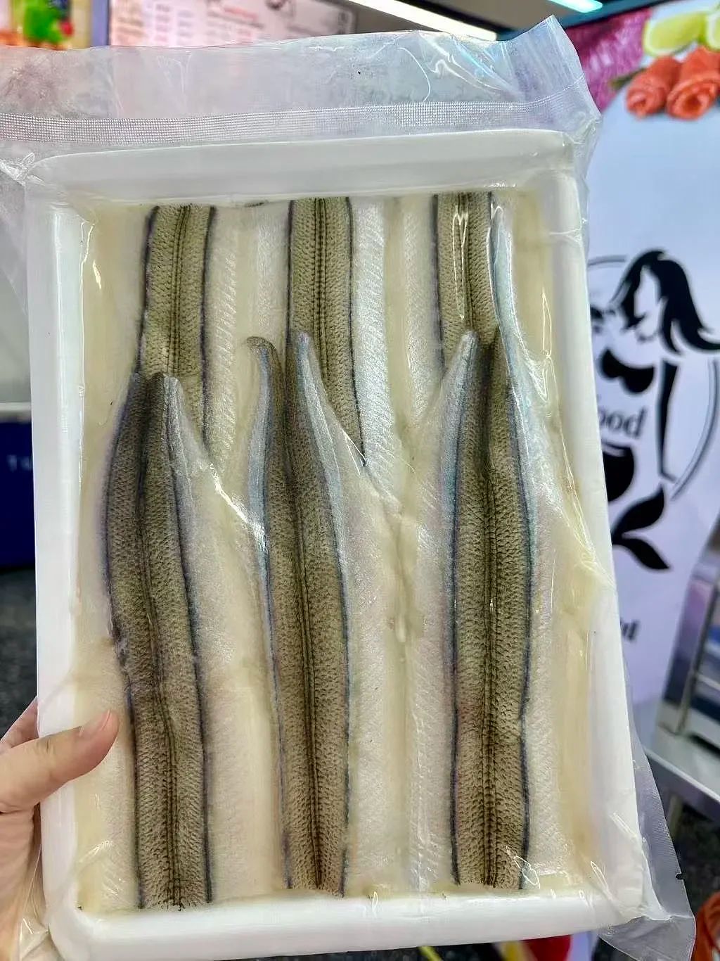 Garfish Fillet