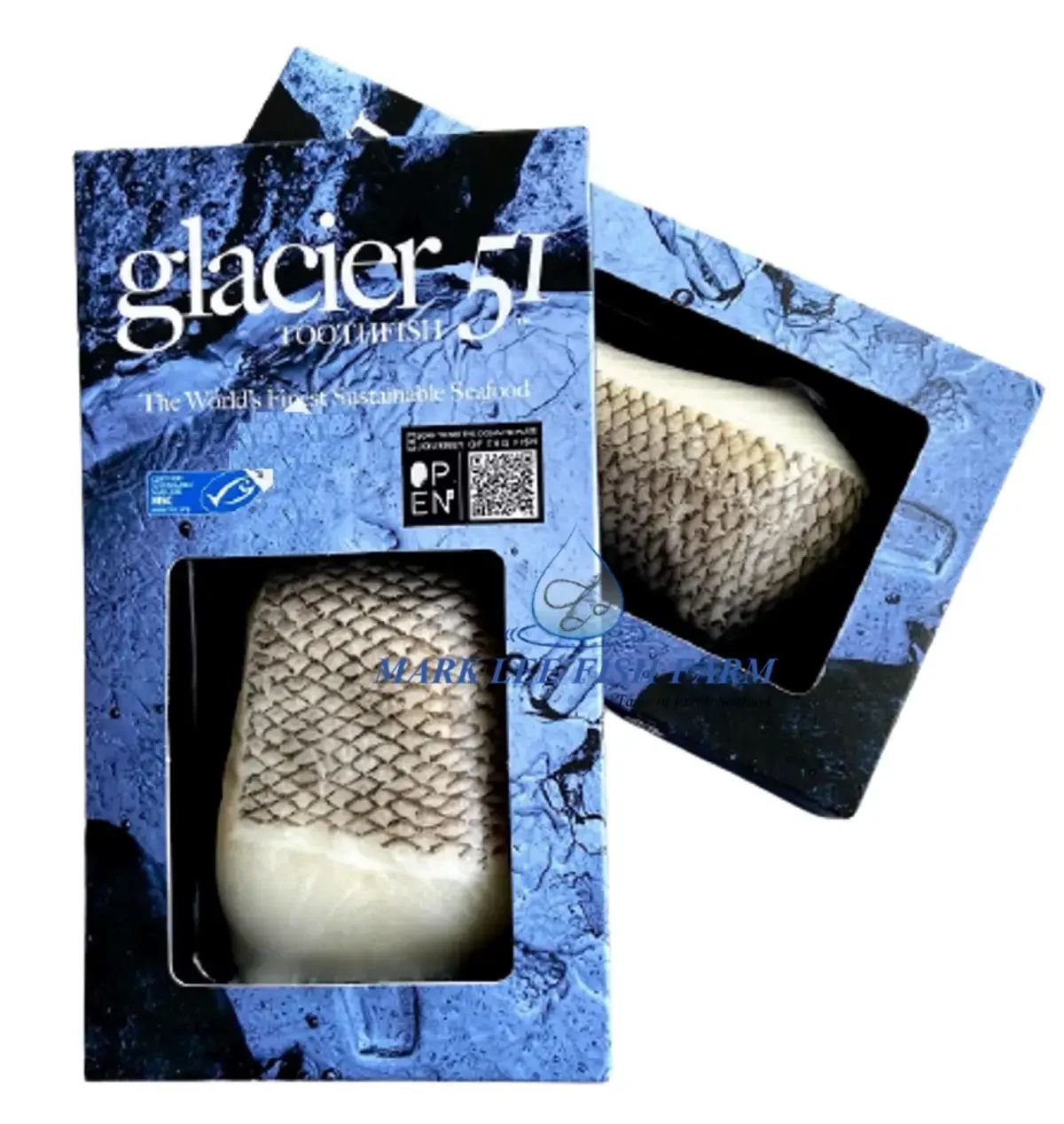 Glacier 51