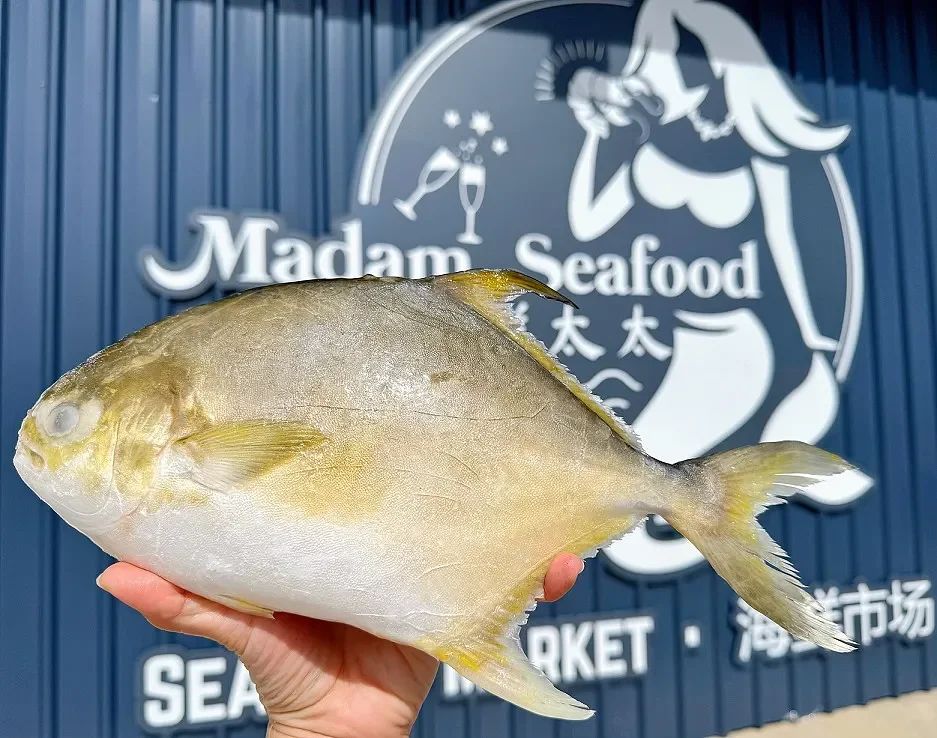 Golden Pomfret