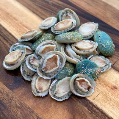 Greenlip Abalone F