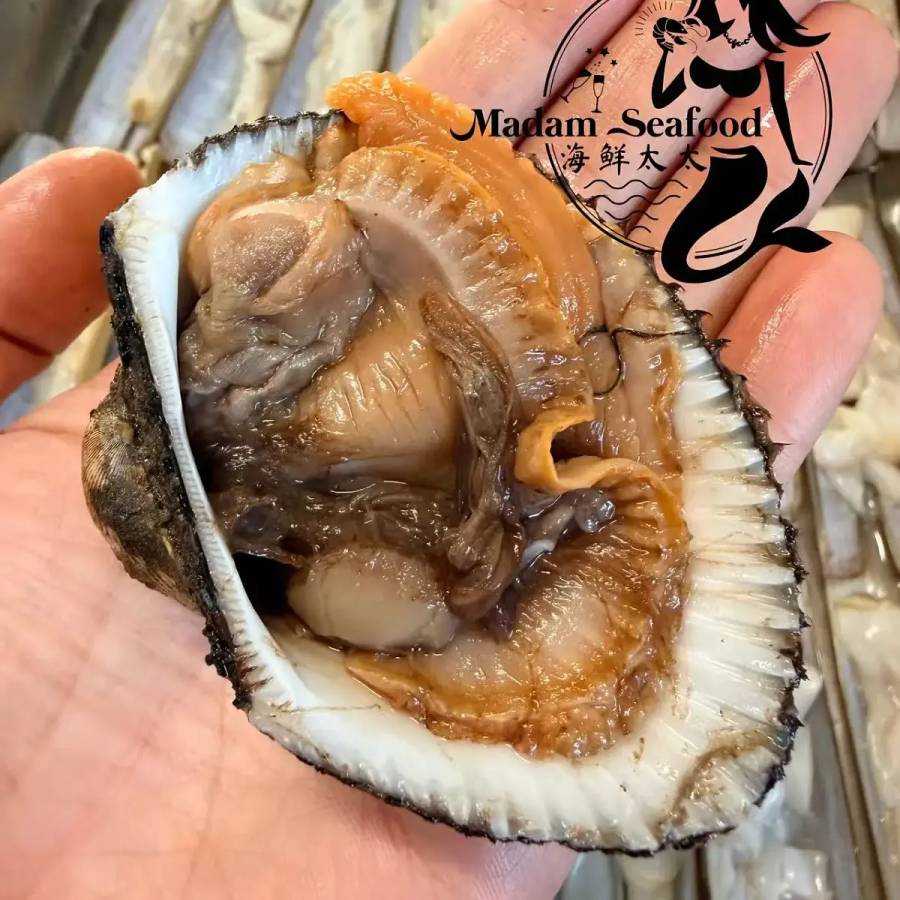 Half Shell Blood Cockles