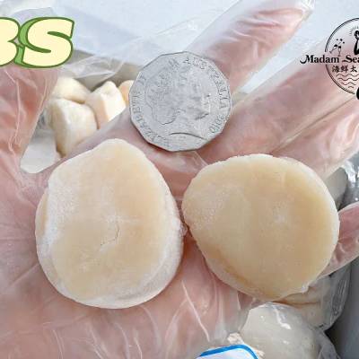 Hokkaido S3 Scallop