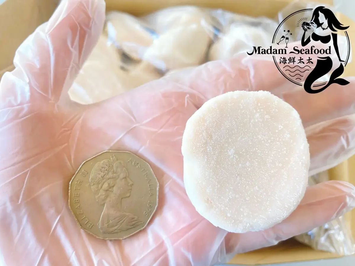Hokkaido Scallop Meat