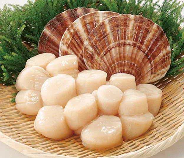 Hokkaido Scallop Meat