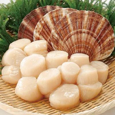 Hokkaido Scallop Meat