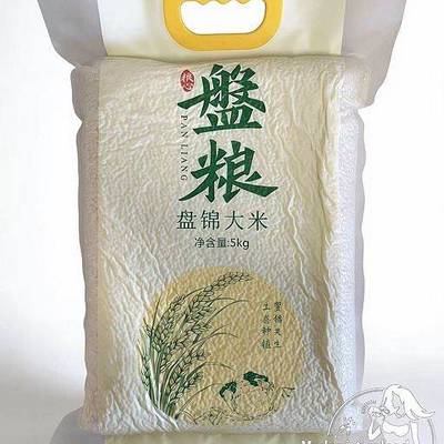kg Rice