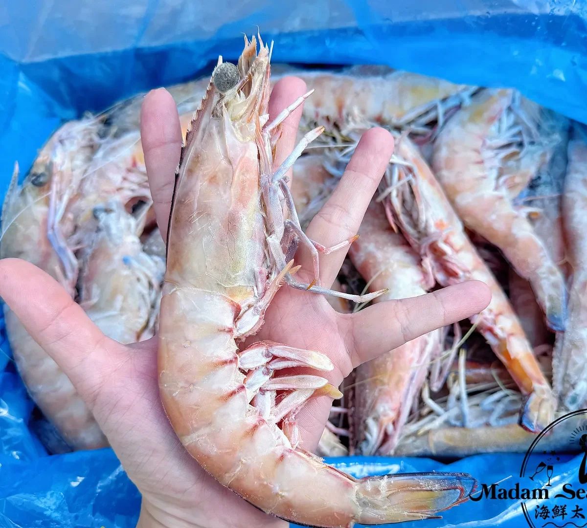 King Prawn Jumbo U8