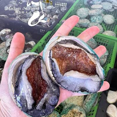 Live Tiger Abalone