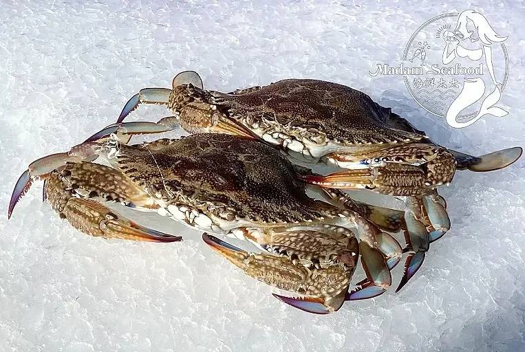 Local Blue Crab Female