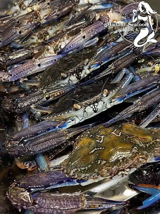 Local Blue Crab Male