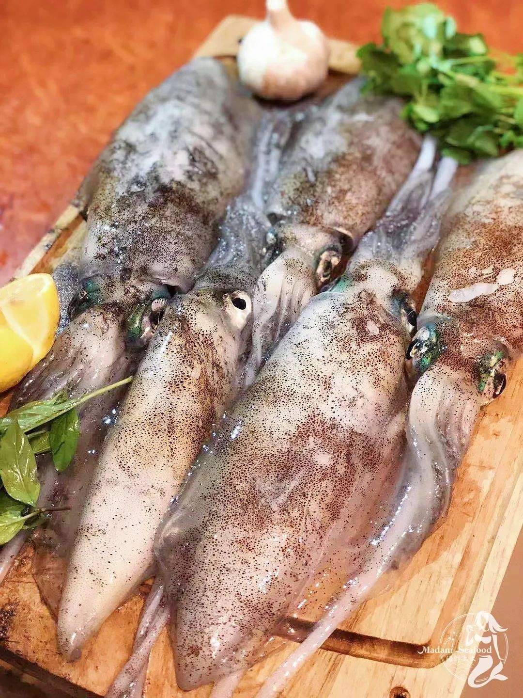 Local Fresh Squid
