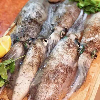 Local Fresh Squid