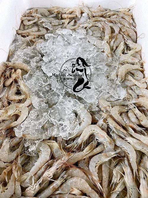 Local School Prawn