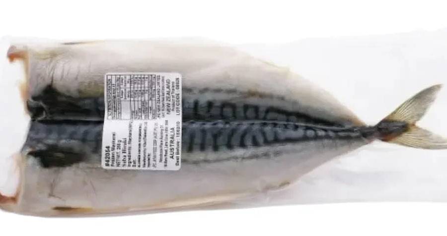 Mackerel