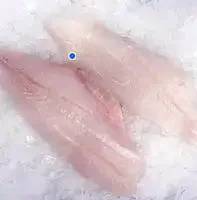 Orange Roughy Fillet