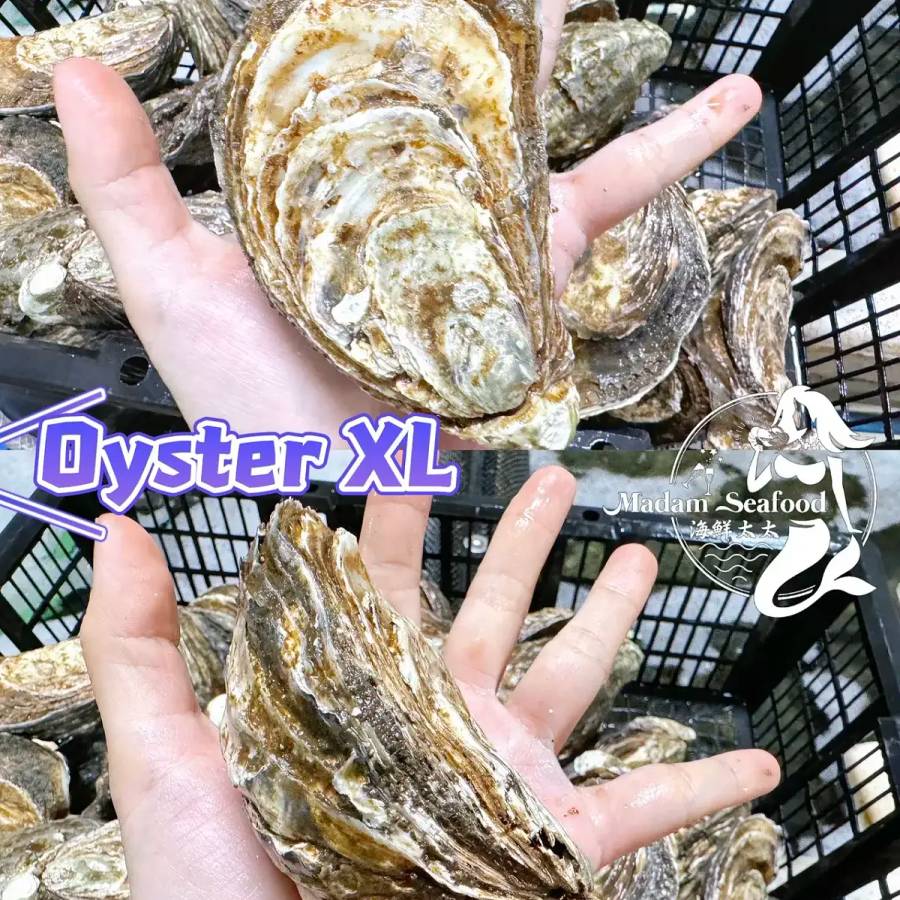 Oyster Closed