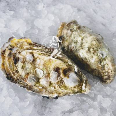 Oyster Closed