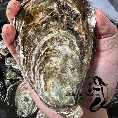 Oyster Closed