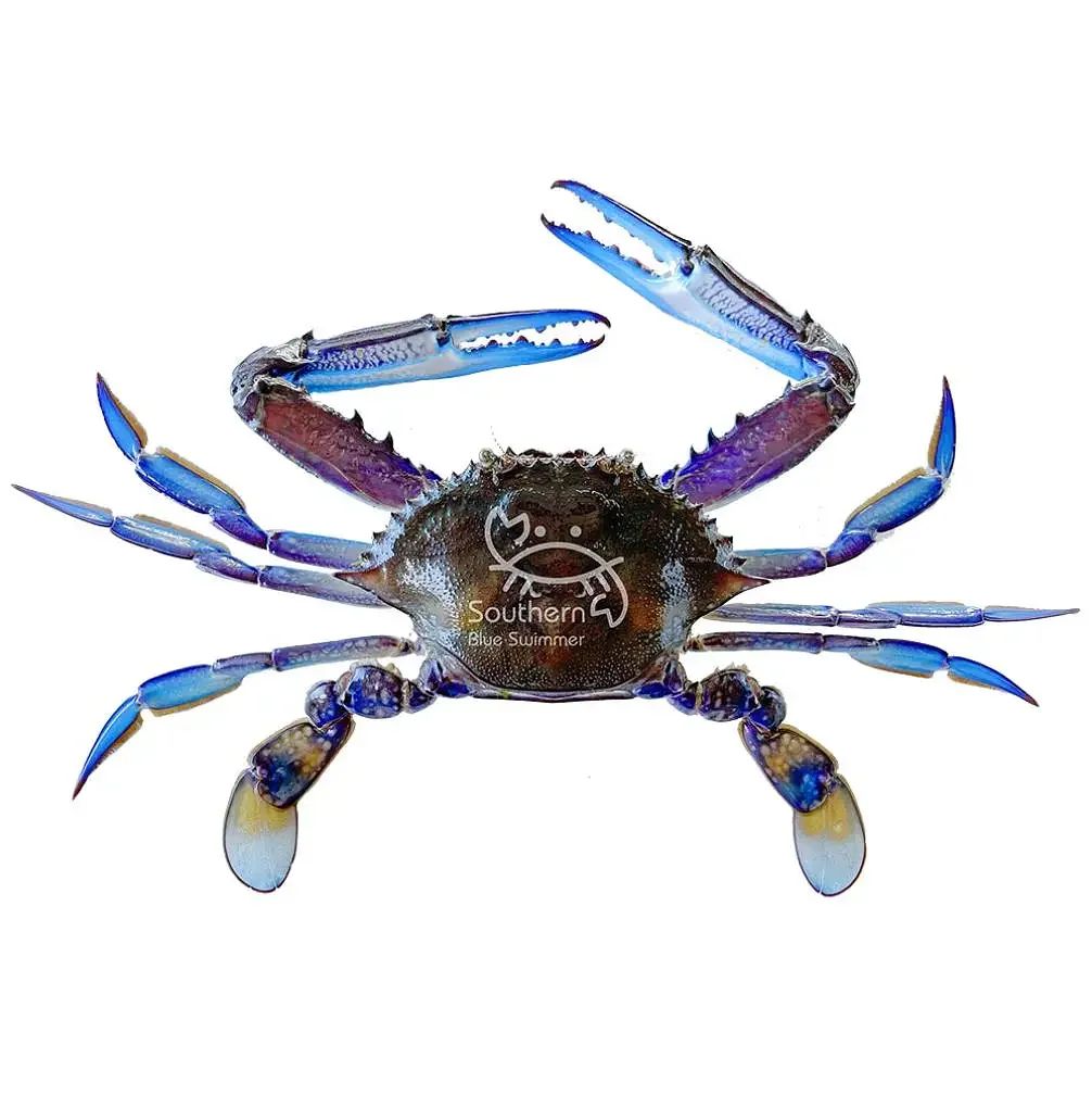 Crabs