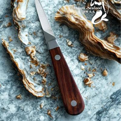 Premium Oyster Knife