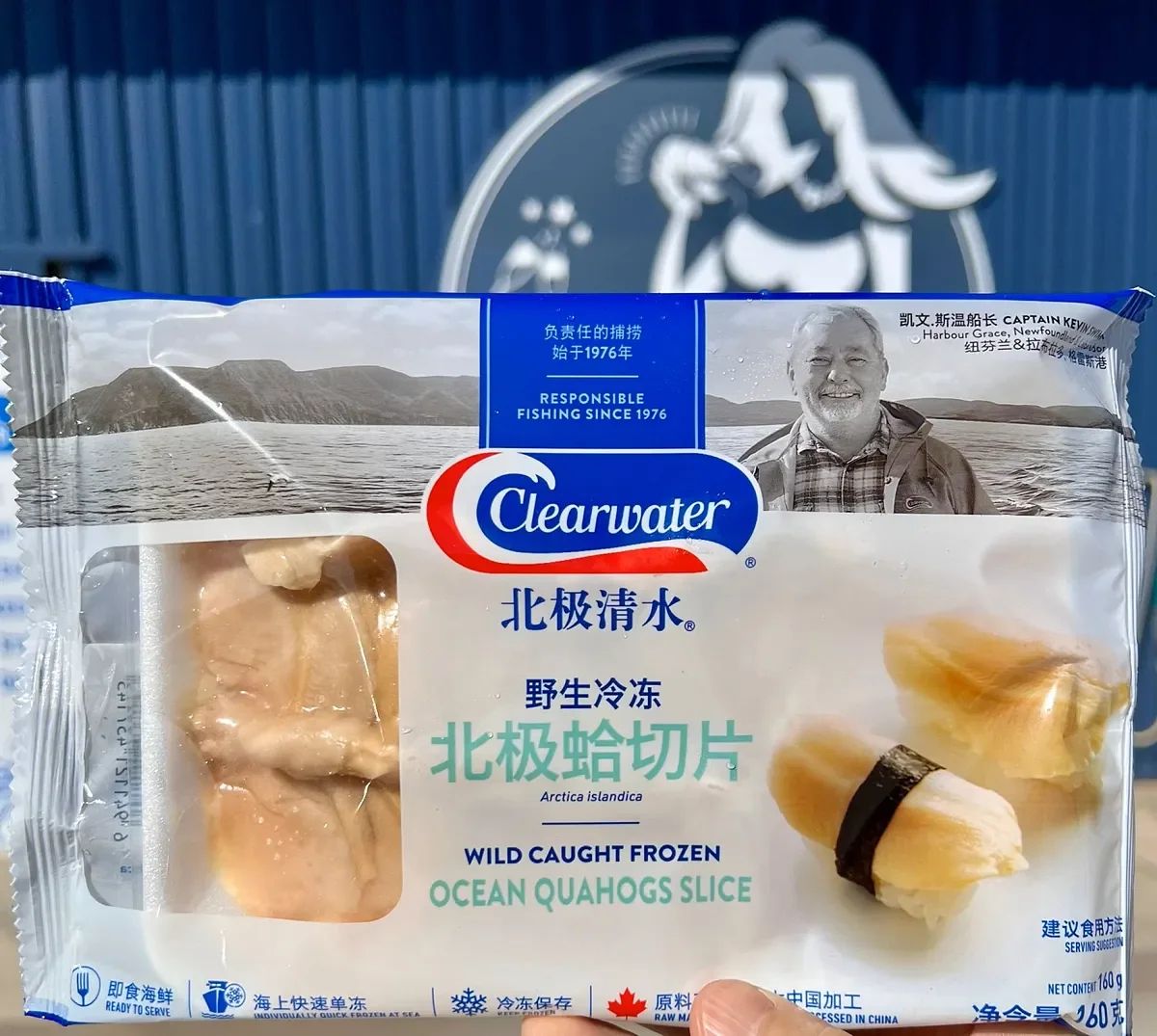 Quahogs Clam