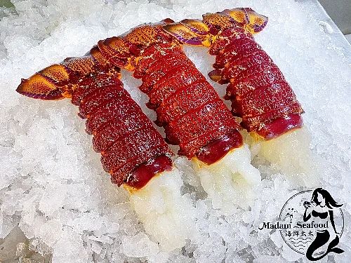 S Rock Lobster Tail