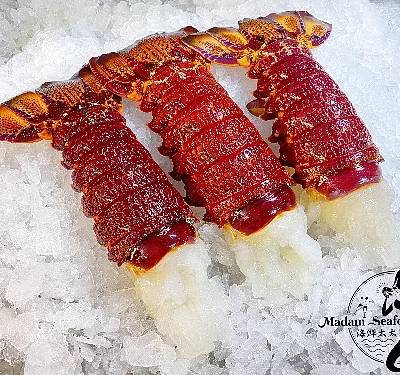S Rock Lobster Tail