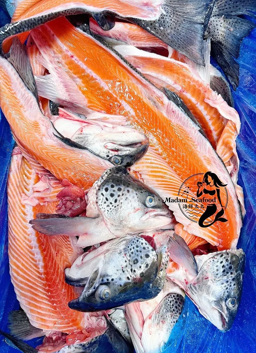 Salmon Head/Offcuts