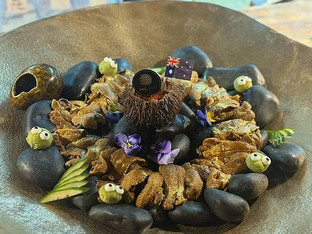 Sea Urchin